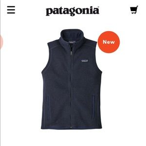 Patagonia Women’s Better Sweater Fleece Vest